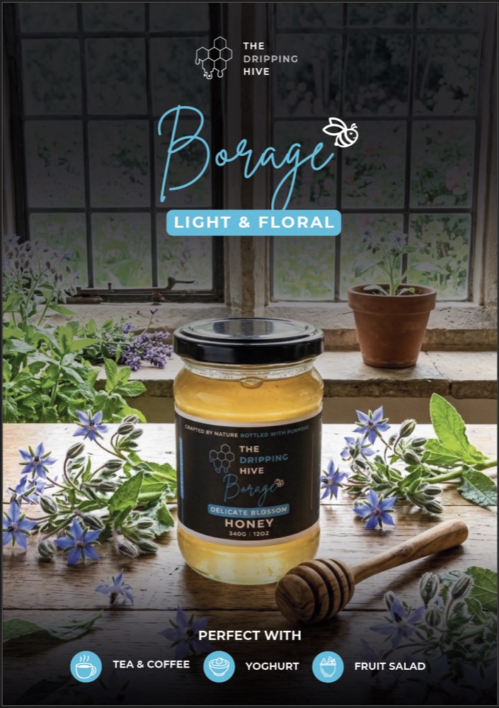 Borage honey jar poster on a windowsill among potted borage plants and a honey dipper